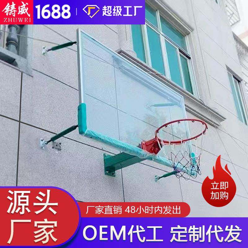 壁挂成人儿童篮球架户外家用篮球框蓝球架可升降室内篮球架子