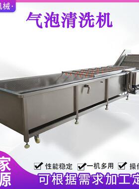 软包装袋气泡清洗风干流水线果蔬气泡清洗设备连续式清洗风干机