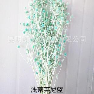 新款直销情人果永生花花材情人节母情节礼品生日礼品圣诞节礼品配
