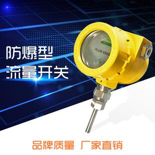 防爆型流量开关化工液体油气管道监测堵塞热感应流量开关exdIIBT4