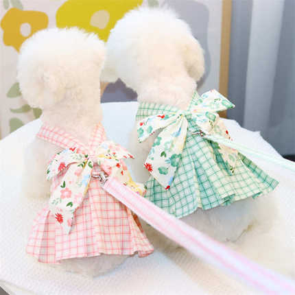 胸小公主夏季服装衣服带薄猫咪犬小款裙狗狗牵引绳小型新款宠物背