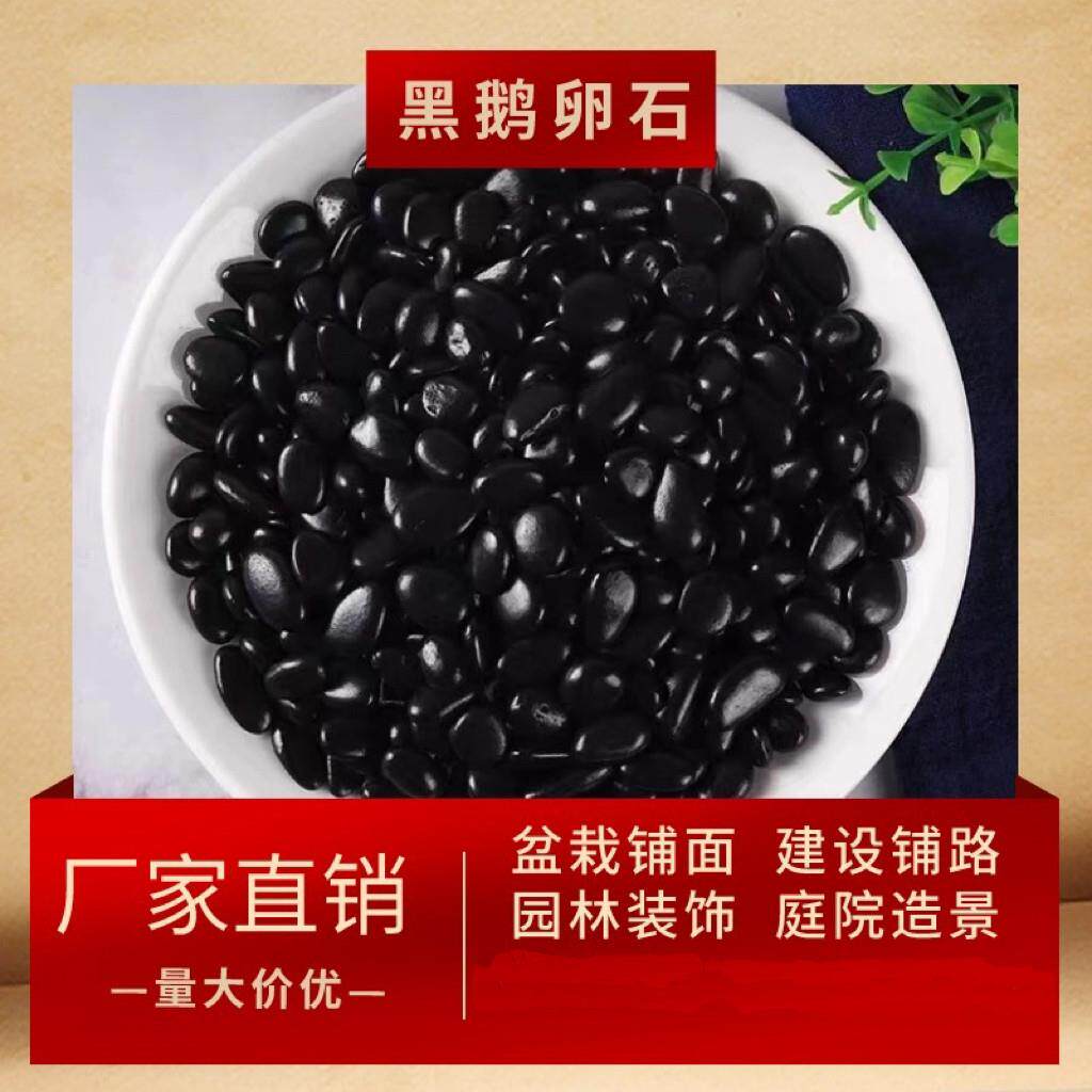 重庆黑色鹅卵石造景花盆铺面鱼缸花园装饰园林景观黑色抛光鹅卵石