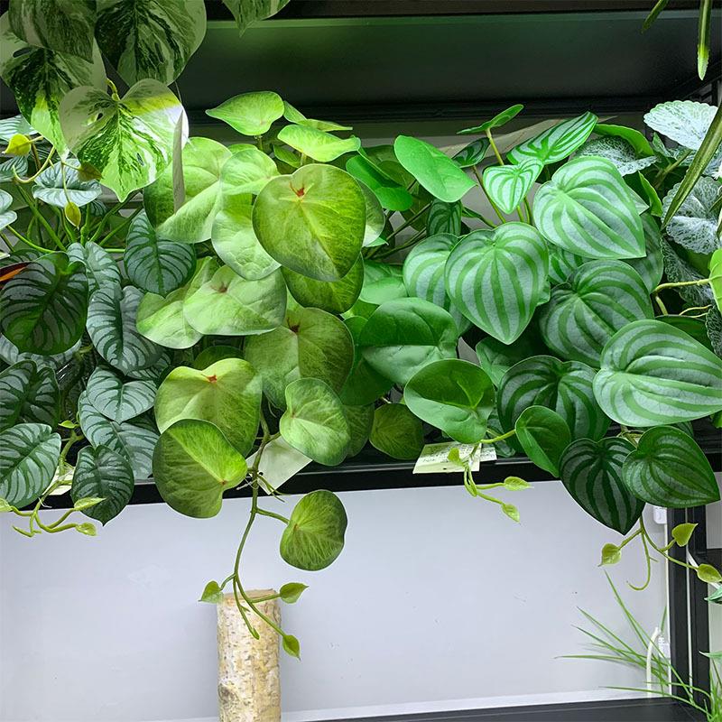 新款直销新款仿真小挂藤植物墙配材西瓜叶壁挂装饰吊挂藤条海棠叶
