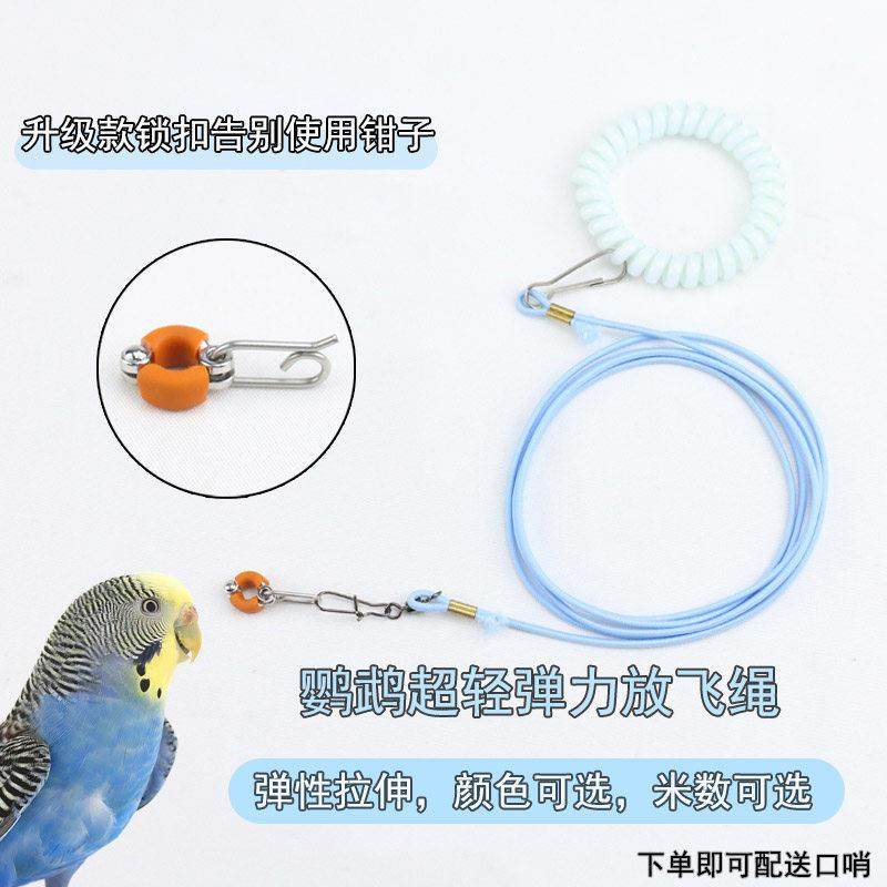 鹦鹉放飞牵引绳新款硅胶脚环绳虎皮牡丹玄凤专用弹力绳子遛鸟绳子