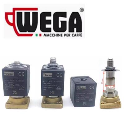 原装WEGA pegaso毕加索/ASTORIA托利亚咖啡机冲泡头电磁阀进水阀