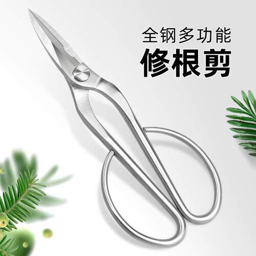 园艺修根剪刀兰花分苗剪不锈钢盆景修枝叶芽剪枝多肉盆栽剪子强力
