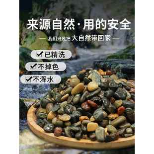溪流石鱼缸底砂造景专用天然溪流砂鹅卵石龟缸水族箱免洗原生底沙