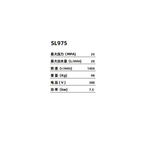 上海SL975新款商用大功率380V高压清洗机洗车泵关枪停机