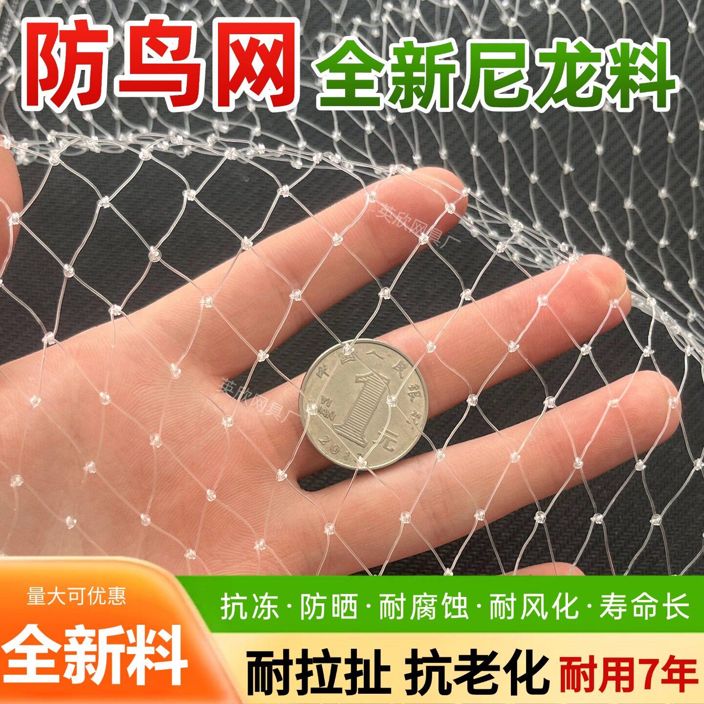 果园防鸟网果树防鸟丝网尼龙葡萄樱桃大棚果园用网农用防鸟网罩