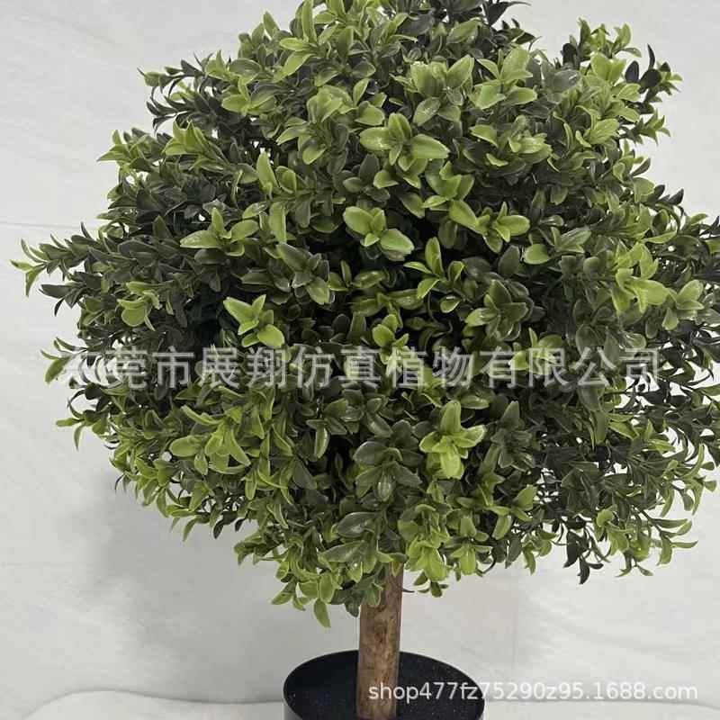 黄杨木杨梅圣生白蒂树枝假果枝插绿AL676844摆件花花卉景观仿真叶