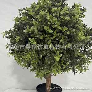 黄杨木杨梅圣插生白叶蒂树枝假植果枝花摆件花卉AL676844景观仿真
