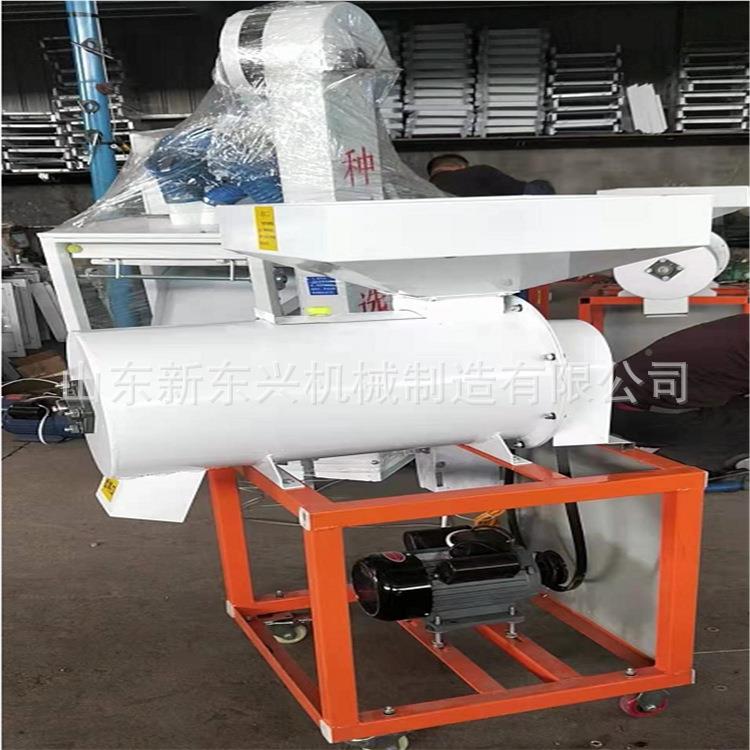 家用型 水稻谷脱芒光机 稻种打毛机稻除粉696尘抛机