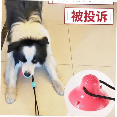 dog toy suction cup pull ball large dog bite resistant molar