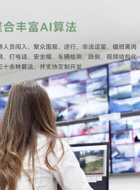 天波厂家AI算法边缘计算网关V1 6T算力工业智能工控机提供API接口