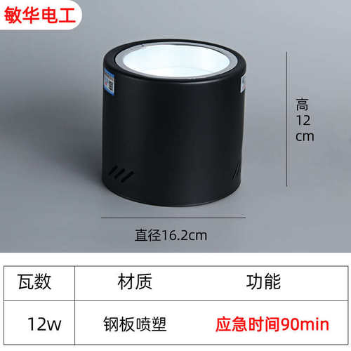消防应急筒灯明装吸顶式免开孔45寸人体感应射灯照明停电应急筒灯