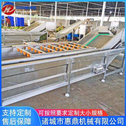 小龙虾蔬菜气泡清洗机全自动辣椒清洗机白果果蔬清洗机设备