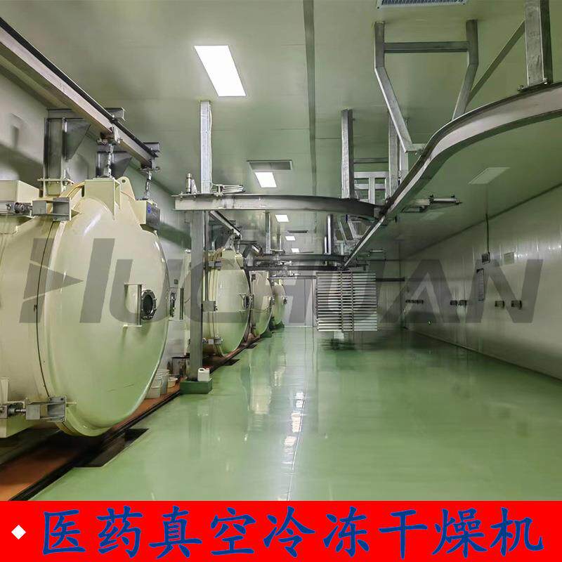 金刚烷商用低温真空冷冻干燥机大型食品果蔬真空冻干机蓝莓冻干机