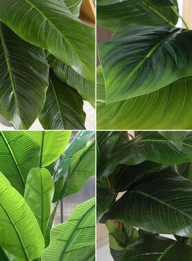 香蕉树模拟植物大型绿色植物假盆栽室内装饰假花客厅假树地板站立