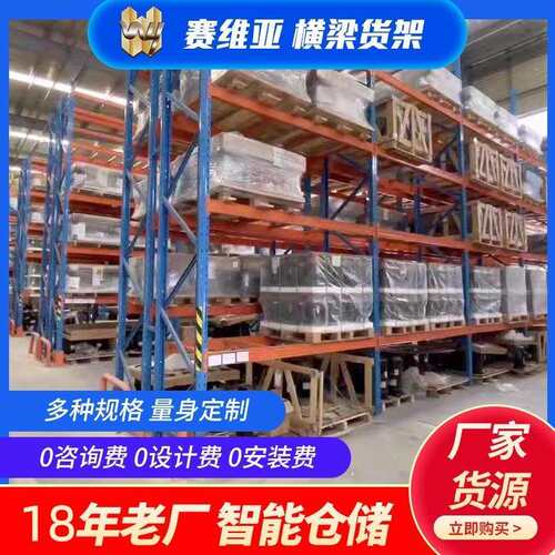 贯通式穿梭货架冷库驶入立体式组合货架托盘仓储高位重型货架