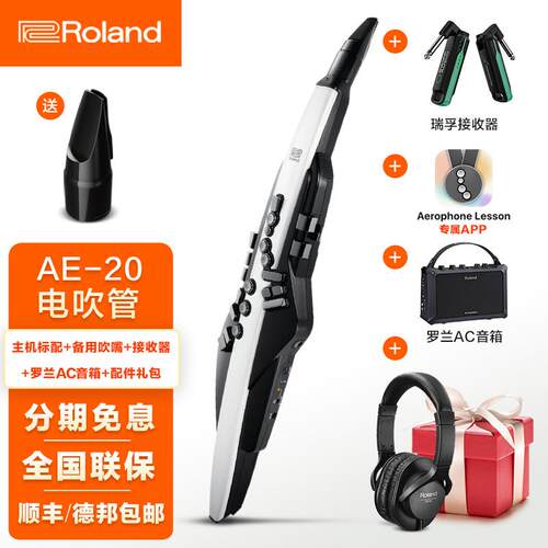 新款Roland罗电吹管乐器AE2老年人娱乐初0学A兰E30电克斯吹管a萨e