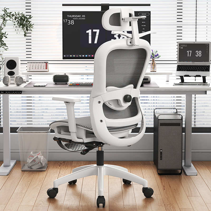 人体工学椅可躺可逍遥办公椅电脑椅家用4D腰靠3D扶手头枕