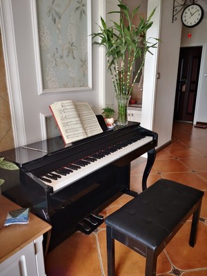 海邦电钢琴怎么样（前车之鉴）有必要告诉大家真相