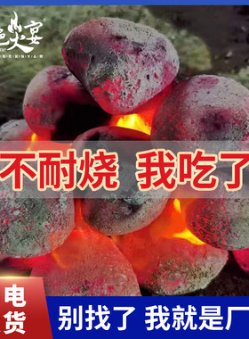 蓝色火宴巨能炭高温烧烤碳冬季取暖火锅室内用户外兰炭机制炭