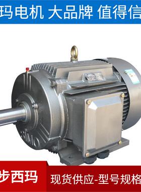 YGM2-315M-10/55KW-50HZ-IP55-380V泰富西玛三相电机现货销售
