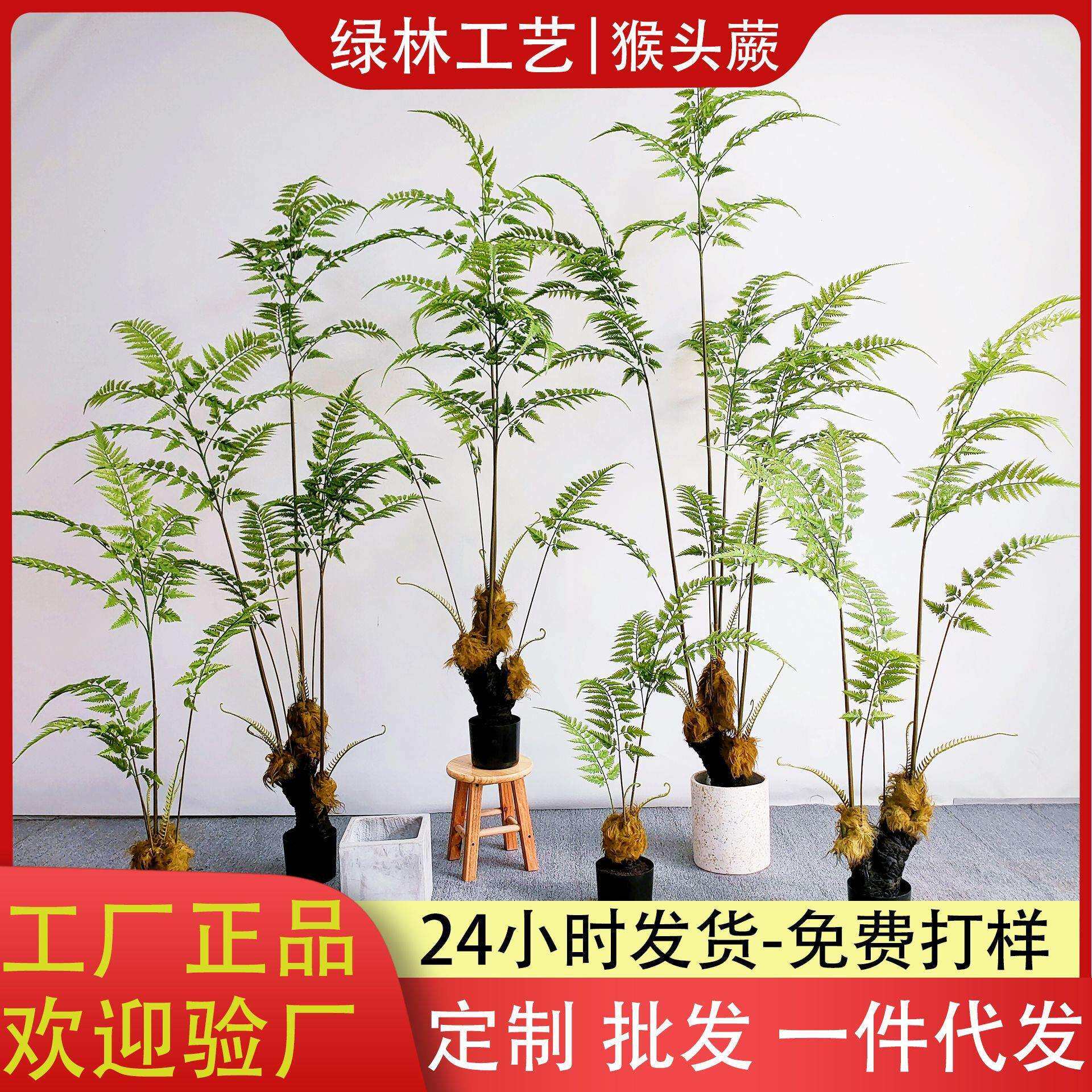 仿真猴头蕨马尾葵盆栽仿真蕨树绿植家居室内植物盆栽景观装饰