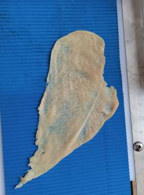 商用肉类全自动牛肉切片切条机 鸭鸡胸肉开片机 全自动鲜肉切片机