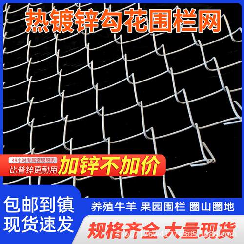 防锈热镀锌铁丝网钢丝网防护网圈牛羊养殖网围栏网格户外圈地隔离