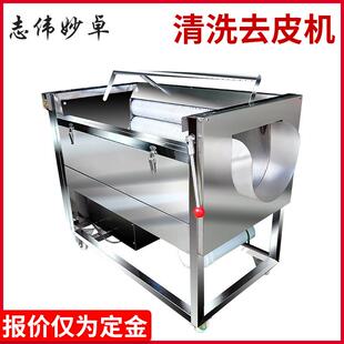 志伟ZW-909中型土豆去皮机马铃薯清洗机，芋头萝卜毛刷清洗机