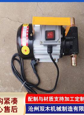 厂家供应小型手提式机油齿轮泵交流抽油泵 220VYTB-40 750w
