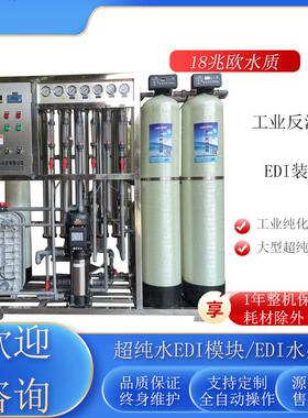 全自动反渗透水处理设备双级纯化水edi超纯水机大型工业纯净水器1