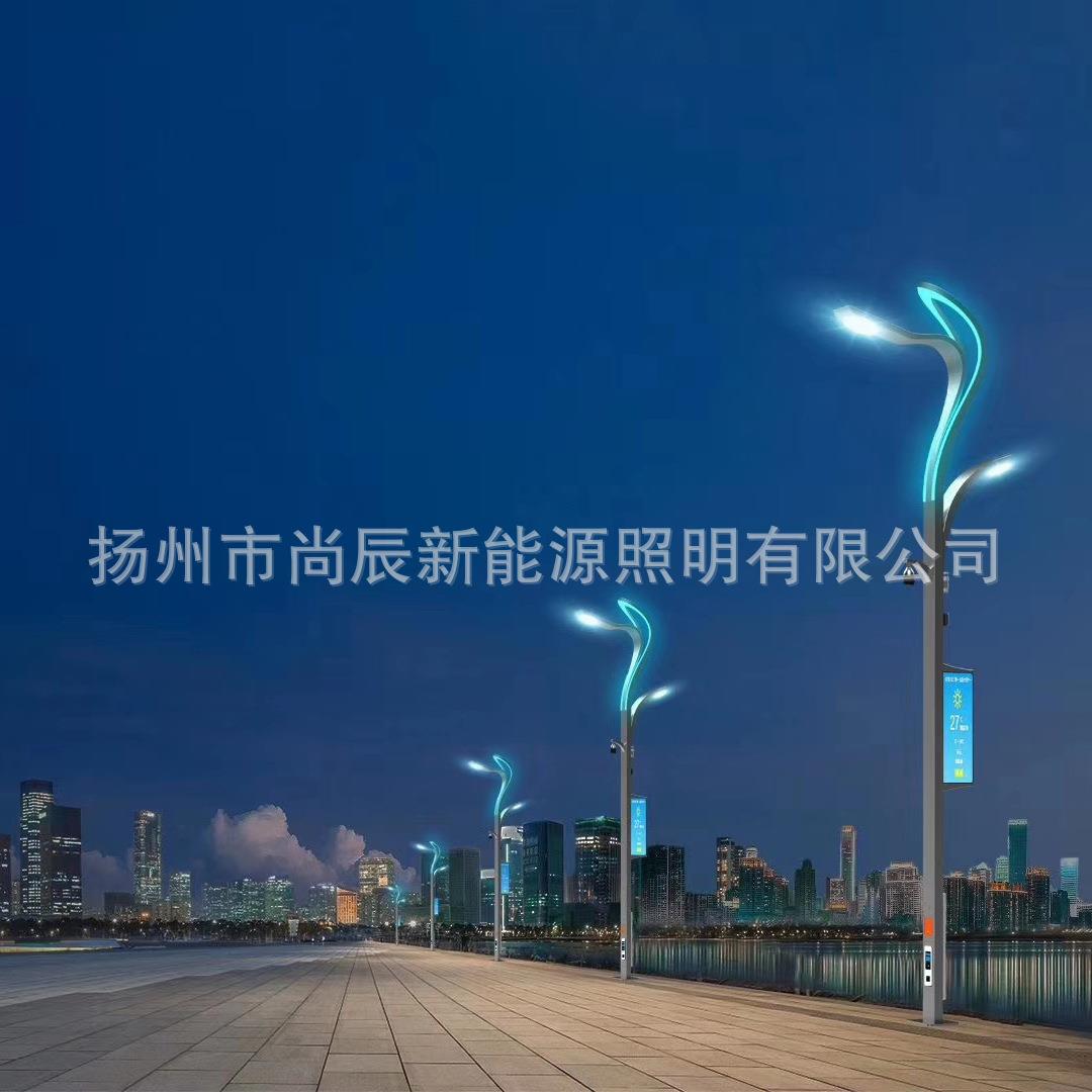 智慧路灯 城市智慧照明系统智能路灯 多工功能合一智能型LED路灯