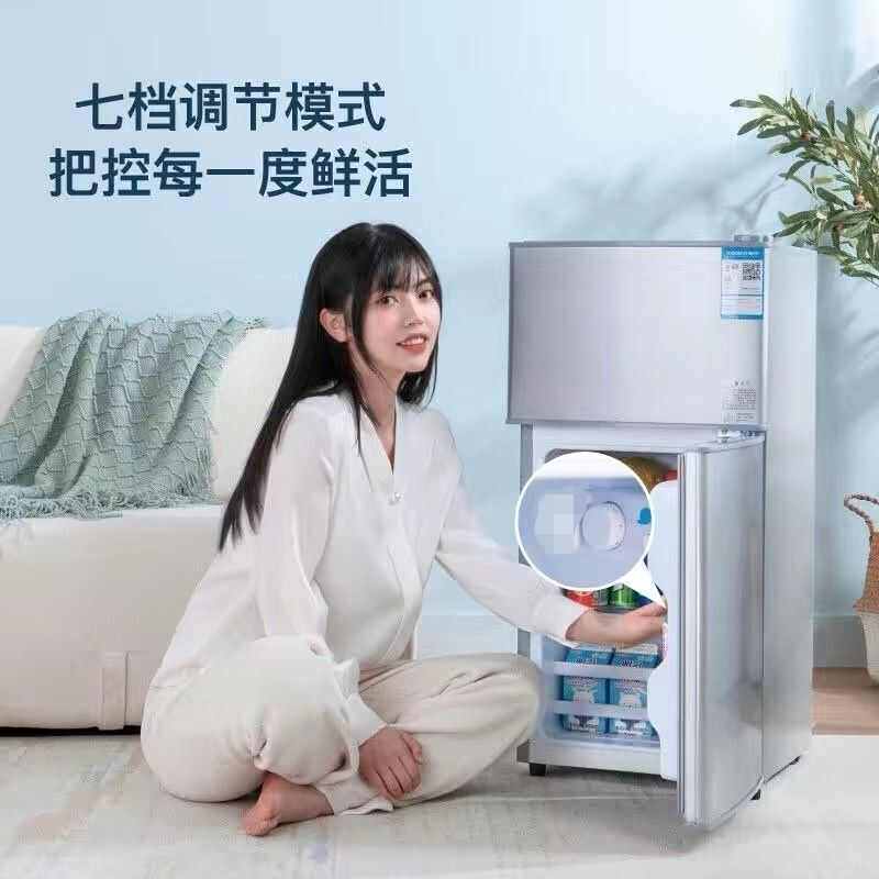宿舍租房用单身双开门冷藏冷冻节车载冰箱/保温箱