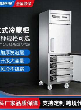 两门四内抽高身柜立式保鲜冷藏柜风冷无霜冷藏冷冻柜商用冰箱设备