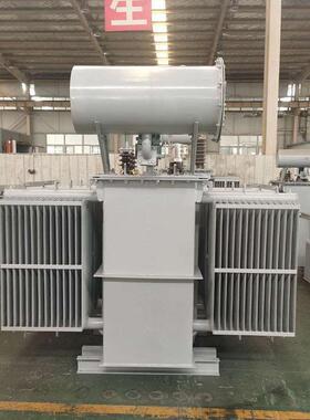 特殊油浸式变压器定 做10000V变1140V和400V双低压变压器2500KVA