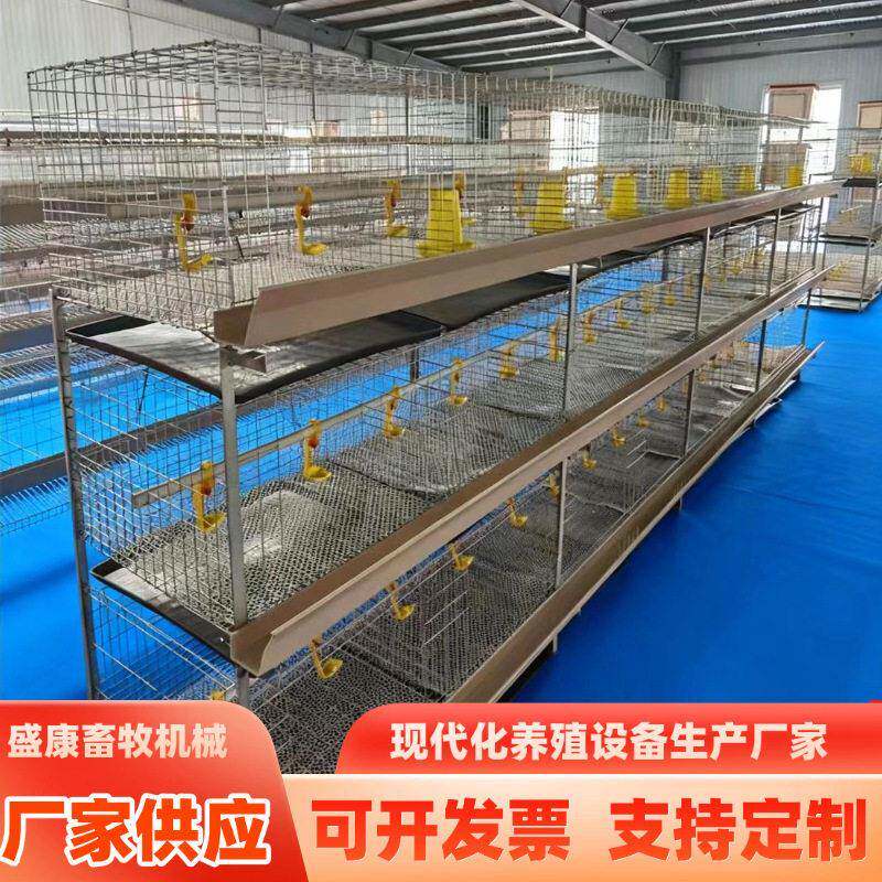 带粪盘肉鸡笼多层式鸡笼子养育雏鸡笼H型立体式养殖场养鸡笼子
