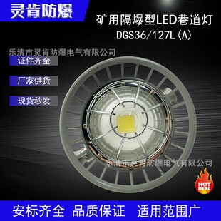 DGS40 矿用隔爆型LED巷道灯DGS24 127L DGS36