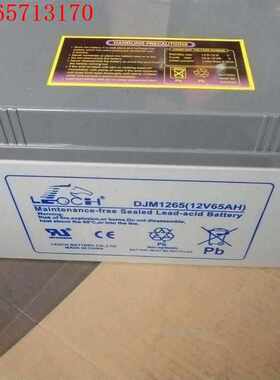 理士12V6H铅酸蓄电池DL1265W阀控密封式机房基站通讯消防船舶用