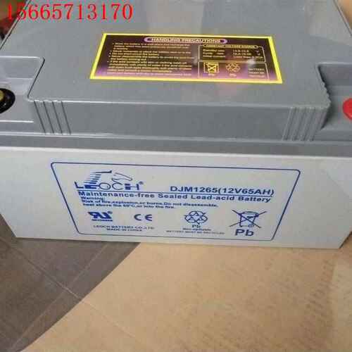理士12V6H铅酸蓄电池DL1265W阀控密封式机房基站通讯消防船舶用