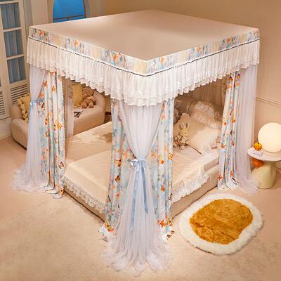 新款公主风SWR床帘蚊式帐遮双光挡风一体加架粗杆支宫廷床幔带防
