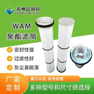 滤筒BHV滤筒BHA滤芯定 式 制 滤筒滤芯上装 张家港厂家供应WAM仓顶式
