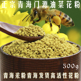 青海油菜花粉门源新鲜蜂花粉未破壁500g