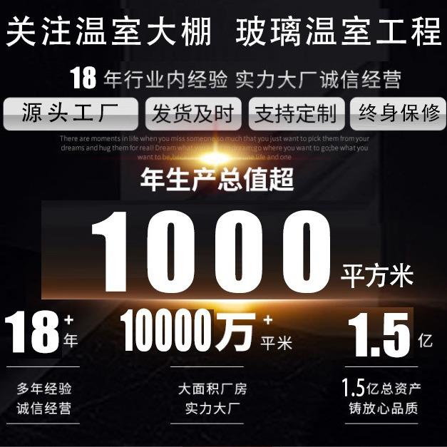 新款直销连栋薄膜温室大棚 瓜果蔬菜种植棚 塑料连体大棚 智能温