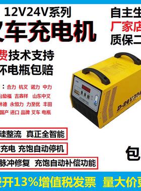 通用电动叉车充电机充电器合力诺力杭州中力龙工12V24V18A350A