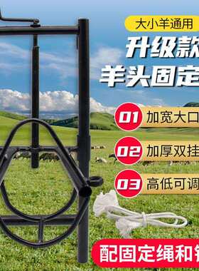 羊头固定架固定剪羊毛架子新款打针挤奶修蹄配种推毛羊头支架升降