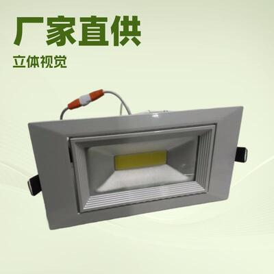 外贸热销COB LED45W40W35W30W25W20W长方形象鼻灯成品及套件射灯