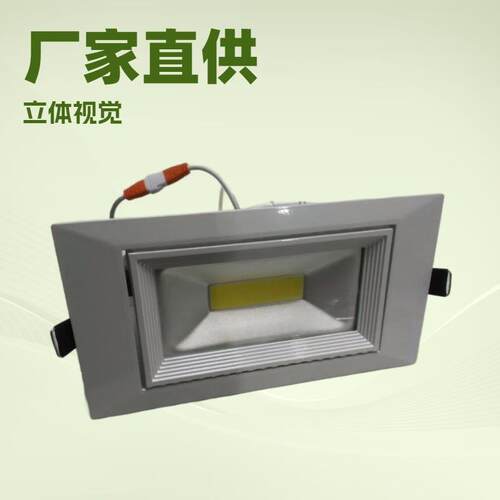 外贸热销COB LED45W40W35W30W25W20W长方形象鼻灯成品及套件射灯